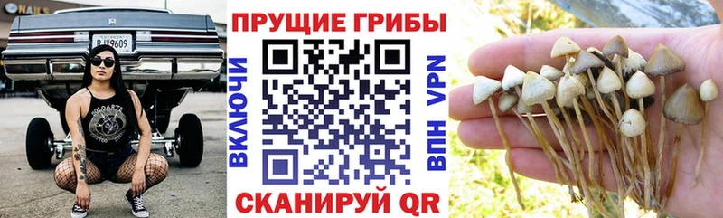 Галлюциногенные грибы мухоморы  omg маркетплейс  Электрогорск 