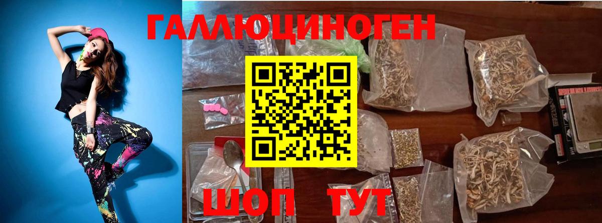Галлюциногенные грибы Psilocybe  Псилоцибиновые грибы Psilocybe  Электрогорск  Вход с VPN 