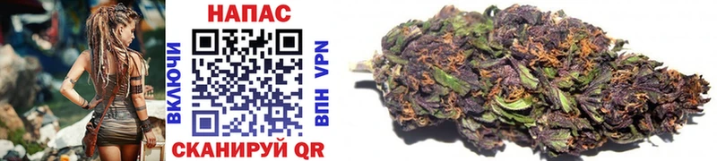 купить наркоту  Электрогорск  Бошки Шишки Bruce Banner 